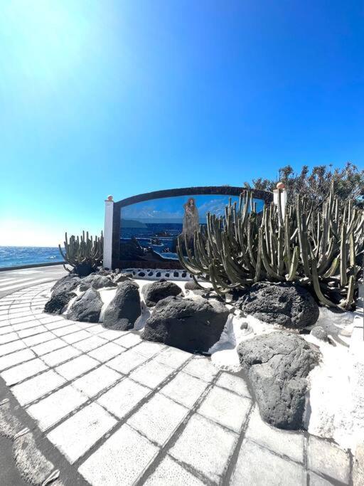 Casa A 50 Metros De La Playa. Supreme Pedro Villa El Socorro Exteriör bild